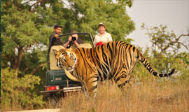 tour packages for himachal