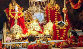tour packages for himachal