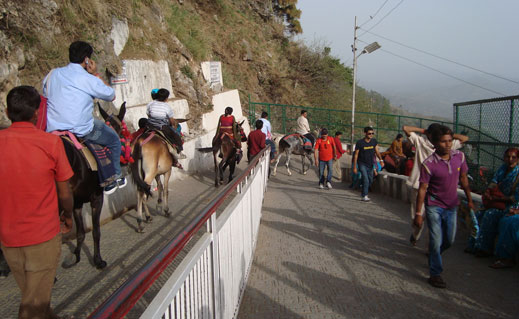 vaisno devi tour package