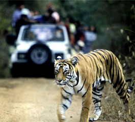 tempo traveller rent in delhi